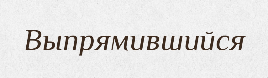 Выпрямившийся — Російсько-український академічний словник (А–П)