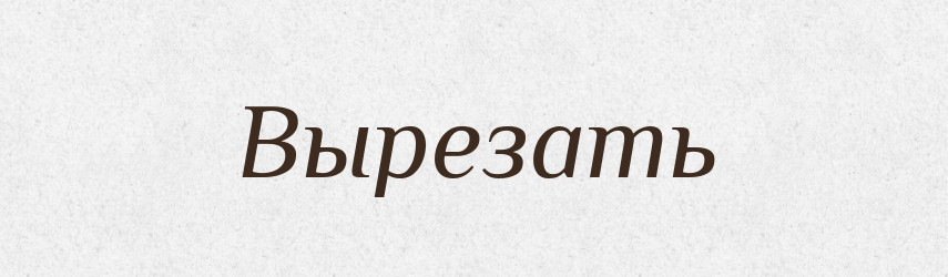 Вырезать — Російсько-український академічний словник (А–П)