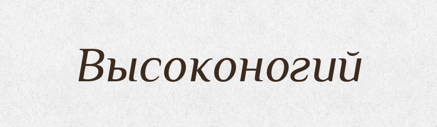 Высоконогий — Російсько-український академічний словник (А–П)