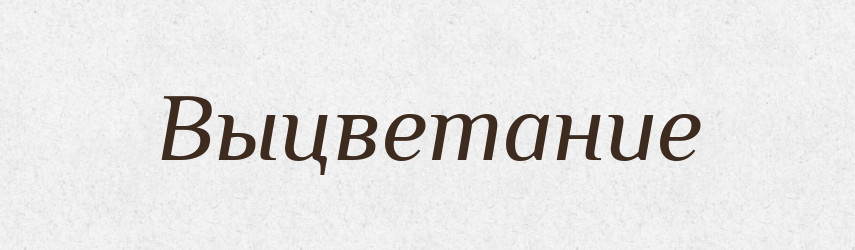 Выцветание — Російсько-український академічний словник (А–П)