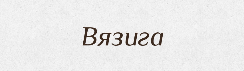 Вязига — Російсько-український академічний словник (А–П)