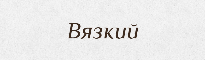 Вязкий — Російсько-український академічний словник (А–П)