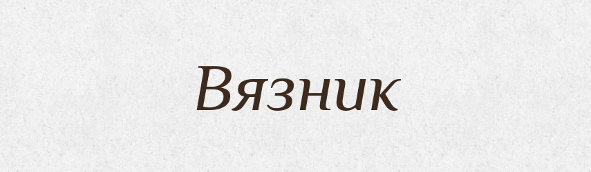 Вязник — Російсько-український академічний словник (А–П)