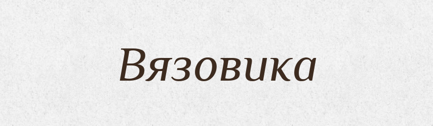 Вязовика — Російсько-український академічний словник (А–П)