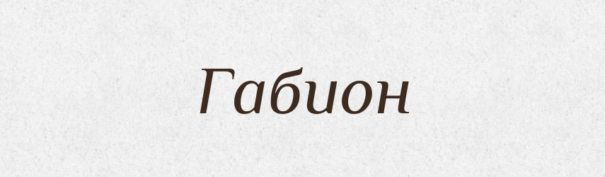 Габион — Російсько-український академічний словник (А–П)