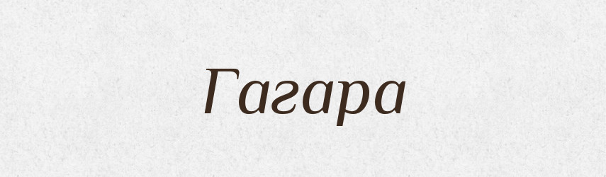 Гагара — Російсько-український академічний словник (А–П)