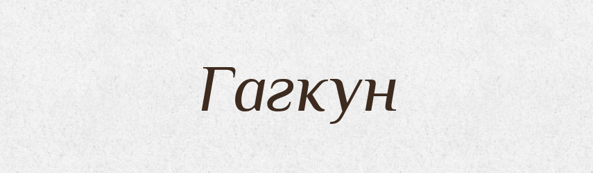 Гагкун — Російсько-український академічний словник (А–П)