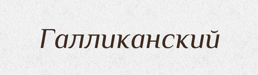 Галликанский — Російсько-український академічний словник (А–П)