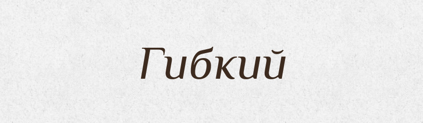 Гибкий — Російсько-український академічний словник (А–П)
