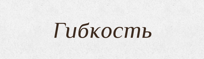 Гибкость — Російсько-український академічний словник (А–П)