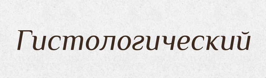 Гистологический — Російсько-український академічний словник (А–П)