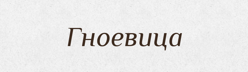 Гноевица — Російсько-український академічний словник (А–П)