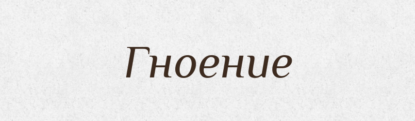 Гноение — Російсько-український академічний словник (А–П)