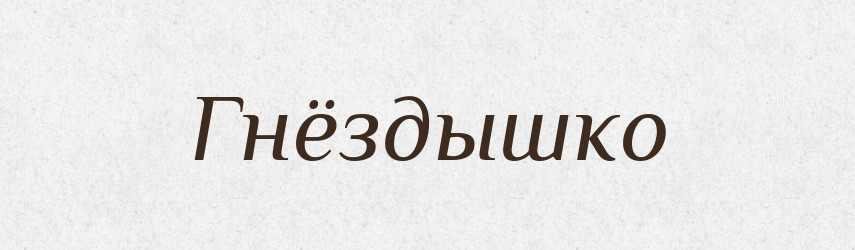 Гнёздышко — Російсько-український академічний словник (А–П)