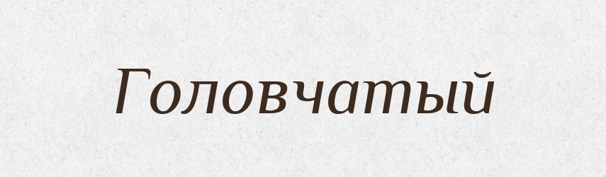 Головчатый — Російсько-український академічний словник (А–П)