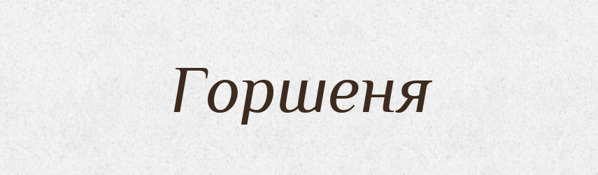 Горшеня — Російсько-український академічний словник (А–П)