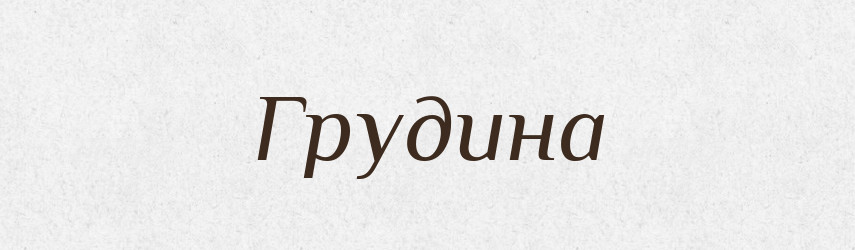 Грудина — Російсько-український академічний словник (А–П)