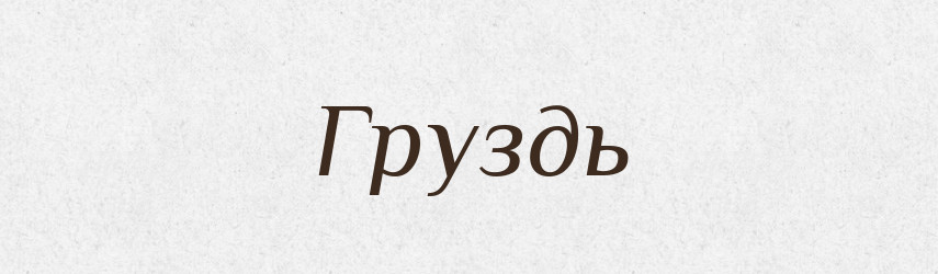 Груздь — Російсько-український академічний словник (А–П)