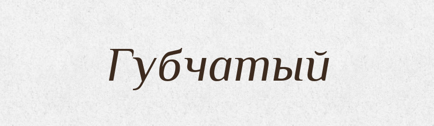 Губчатый — Російсько-український академічний словник (А–П)