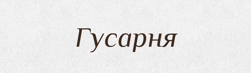 Гусарня — Російсько-український академічний словник (А–П)