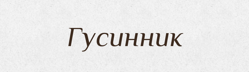 Гусинник — Російсько-український академічний словник (А–П)