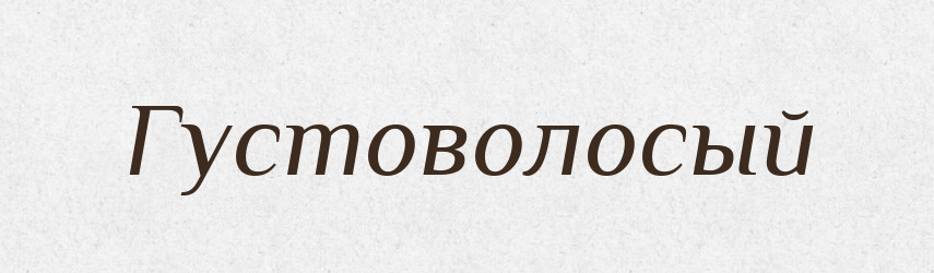 Густоволосый — Російсько-український академічний словник (А–П)