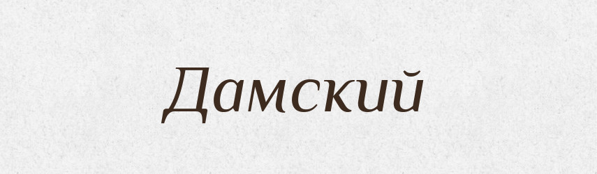 Дамский — Російсько-український академічний словник (А–П)