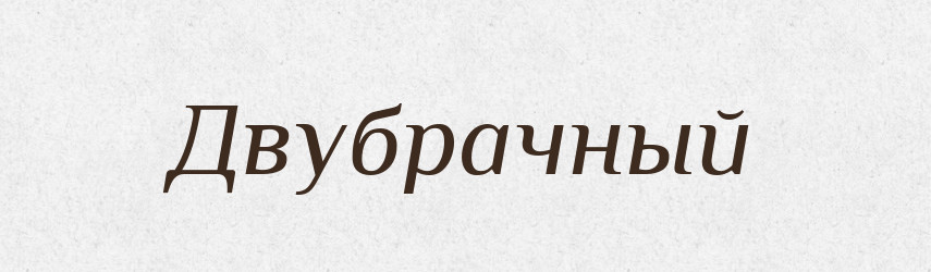 Двубрачный — Російсько-український академічний словник (А–П)