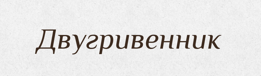 Двугривенник — Російсько-український академічний словник (А–П)