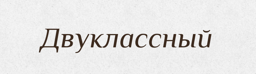 Двуклассный — Російсько-український академічний словник (А–П)