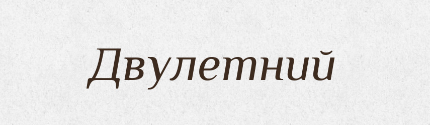 Двулетний — Російсько-український академічний словник (А–П)