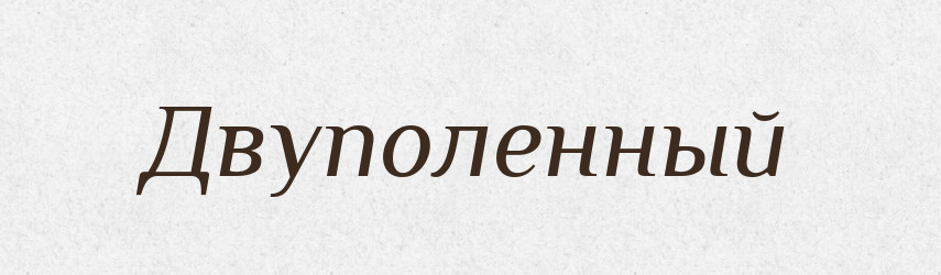 Двуполенный — Російсько-український академічний словник (А–П)