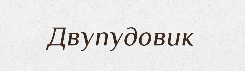 Двупудовик — Російсько-український академічний словник (А–П)