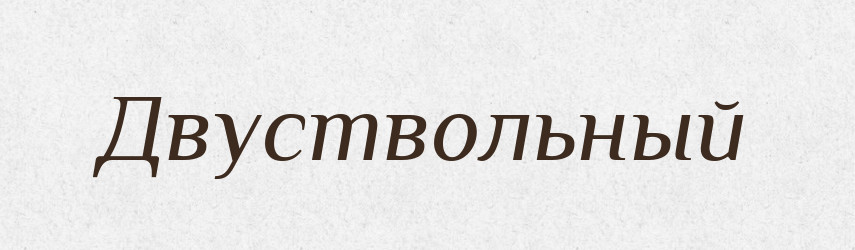 Двуствольный — Російсько-український академічний словник (А–П)