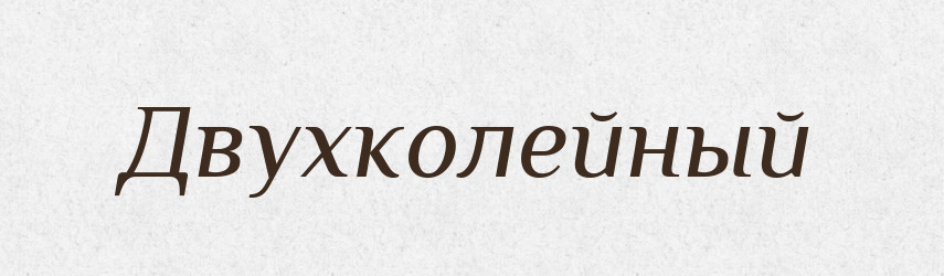 Двухколейный — Російсько-український академічний словник (А–П)