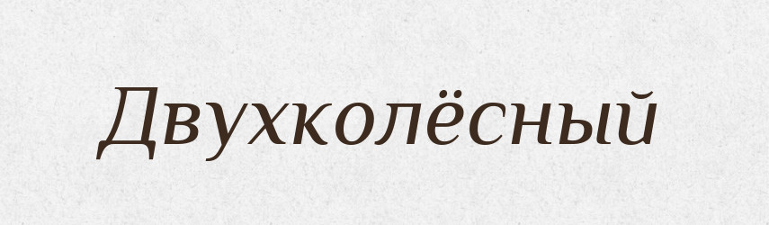 Двухколёсный — Російсько-український академічний словник (А–П)