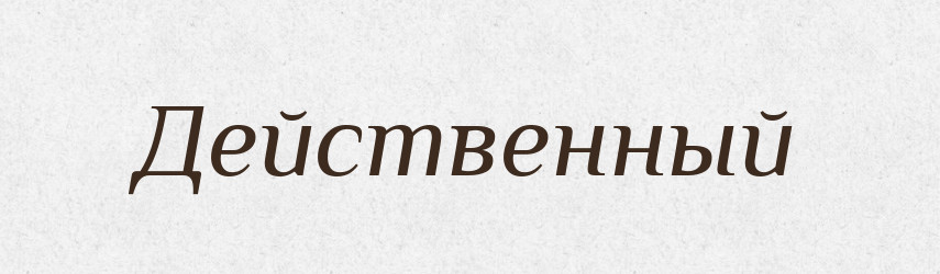 Действенный — Російсько-український академічний словник (А–П)