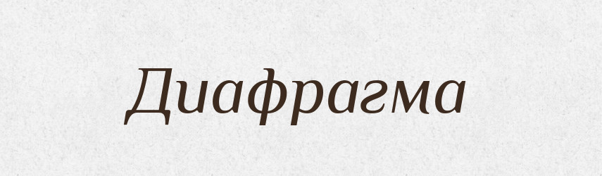 Диафрагма — Російсько-український академічний словник (А–П)