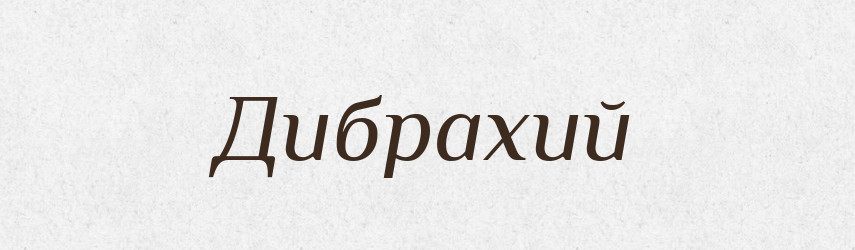 Дибрахий — Російсько-український академічний словник (А–П)