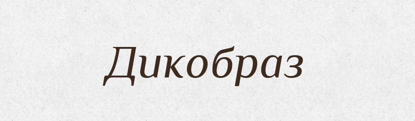 Дикобраз — Російсько-український академічний словник (А–П)