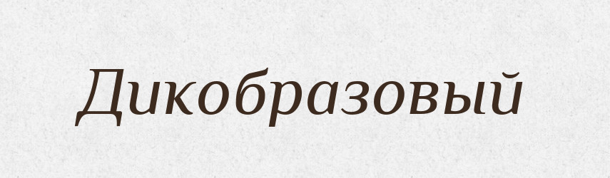 Дикобразовый — Російсько-український академічний словник (А–П)