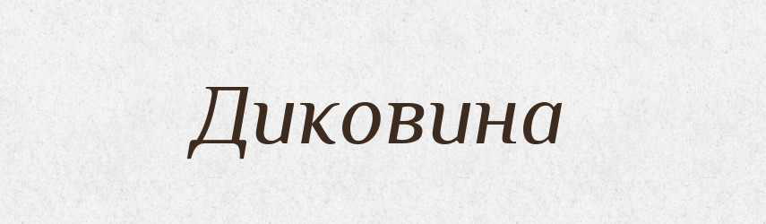 Диковина — Російсько-український академічний словник (А–П)