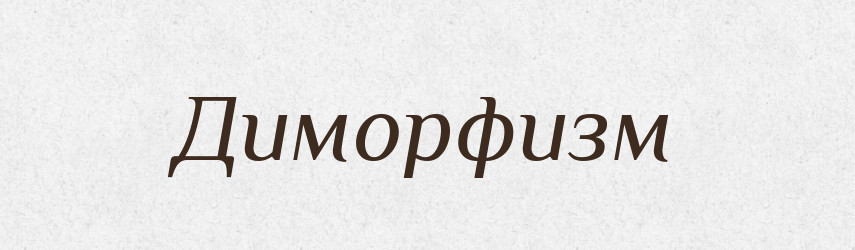 Диморфизм — Російсько-український академічний словник (А–П)
