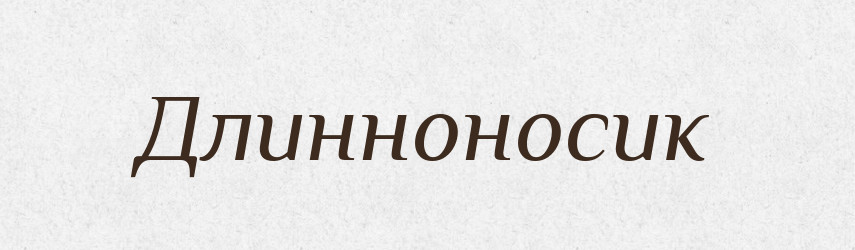 Длинноносик — Російсько-український академічний словник (А–П)