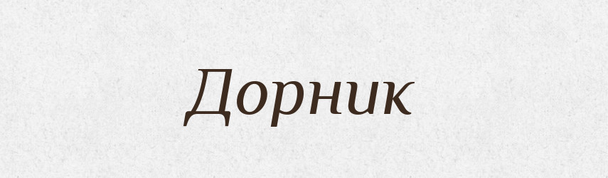 Дорник — Російсько-український академічний словник (А–П)