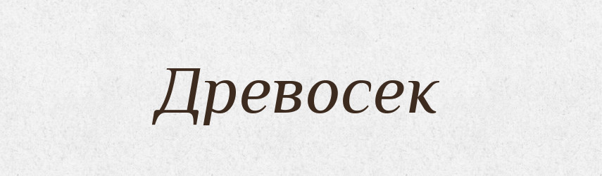 Древосек — Російсько-український академічний словник (А–П)
