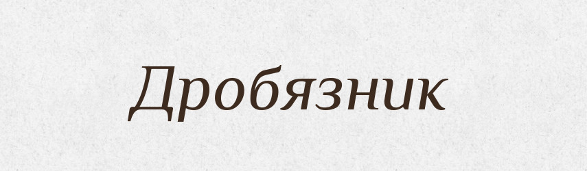 Дробязник — Російсько-український академічний словник (А–П)