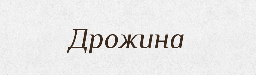 Дрожина — Російсько-український академічний словник (А–П)