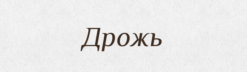 Дрожь — Російсько-український академічний словник (А–П)