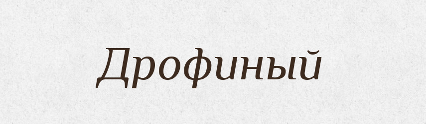 Дрофиный — Російсько-український академічний словник (А–П)